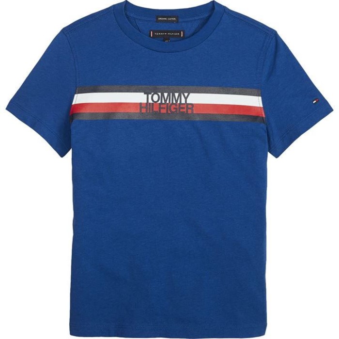 Gutter Stripe Logo T-skjorte Kobolt Tommy Hilfiger Norge