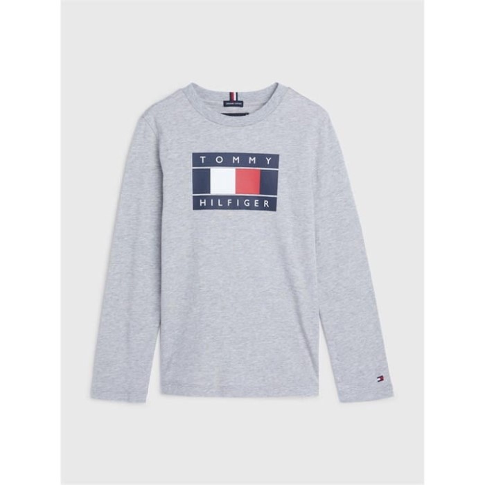 Global Stripe Flag Tee L/s Tommy Hilfiger Norge Lt Grå Hth P01