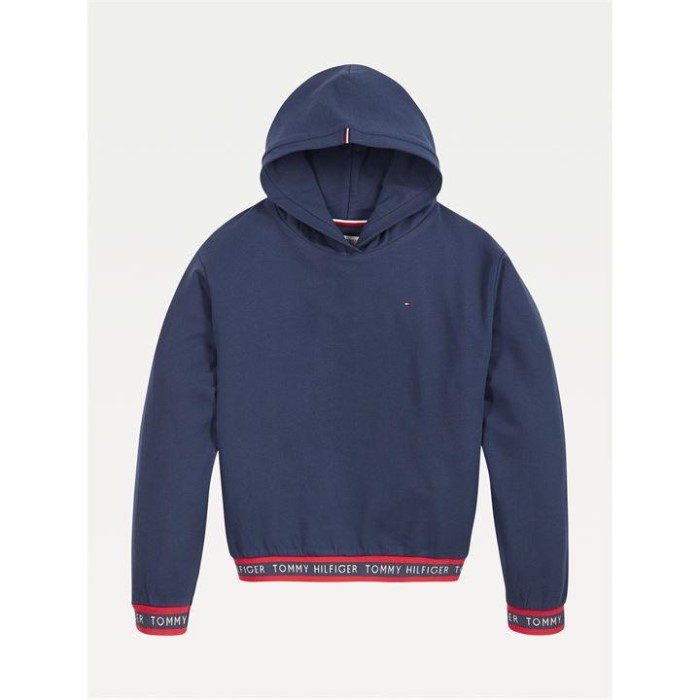 Spedbarn Logo Hettegenser Twilight Marine Tommy Hilfiger Norge