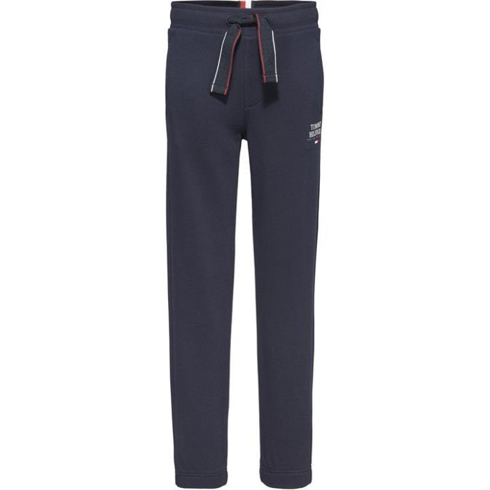 Junior Logo Jogger Desert Sky Dw5 Tommy Hilfiger Norge