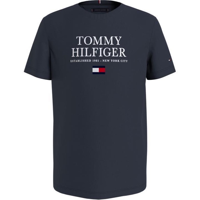Juniors Logo T-skjorte Tommy Hilfiger Norge Desert Sky Dw5