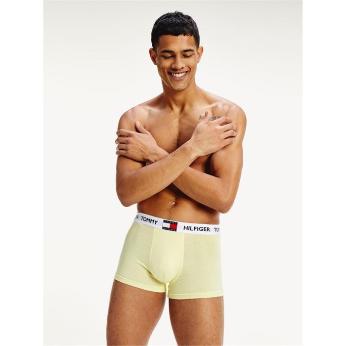 Logo Trunks Za6 Elfin Yell Tommy Hilfiger Norge